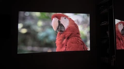 Портитивний міні смарт проектор Smart Projector Ultra HD до 130 дюймів, HDMI-сумісний, повна підтримка Android та iOS, Bluetooth 5.0, Wi-Fi, мультимедійний домашній кінотеатр 300 ANSI люмен фото від покупців 2