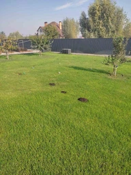Отпугиватель кротов Profi Plus Super Spiker Pest Control на солнечной батарее (5414528004771) фото от покупателей 2