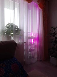 Светодиодная фитолента для комнатных растений рассады цветов микрозелени Led SMD 2835 USB фитолампа Grow Light полный спектр диодная фито лента ультрафиолетовая юсб 2 метра фото от покупателей 11