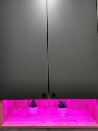 Светодиодная фитолента для комнатных растений рассады цветов микрозелени Led SMD 2835 USB фитолампа Grow Light полный спектр диодная фито лента ультрафиолетовая юсб 2 метра фото от покупателей 9
