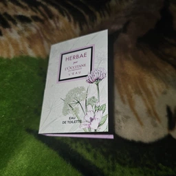 Пробник Туалетна вода для жінок L'Occitane en Provence Herbae L'Eau 1 мл