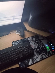 Игровая поверхность WorkPlaceShop Anime Berserk 500х1000 мм фото от покупателей 6