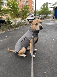 Пуховик Noble Pet Bobby Navy B4118/4XL (00001717) фото от покупателей 2
