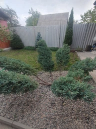 Кусторез электрический Bosch EasyHedgeCut 45 (0600847A05) фото от покупателей 5