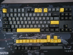 Механічна бездротова (Bluetooth +2.4G) з HOT SWAP клавіатура AKKO 5087B Plus Black & Gold 87Key, CS Silver, УКР/АНГЛ, RGB, Чорний фото від покупців 5