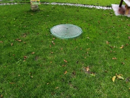 Смесь семян газонных трав RASENLUX Скандинавский газон SCANDINAVIAN LAWN, 2 кг