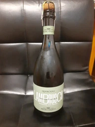 Вино игристое Medici Quercioli Lambrusco Reggiano Doc Rosso Secco красное, сухое 0.75 л 11% (8004810260489)