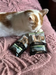 Вологий корм для стерилізованих котів Purina Pro Plan Sterilised Пуріна Проплан з яловичиною в підливці пауч 85 г 26 шт (7613036092883) фото от покупателей 1