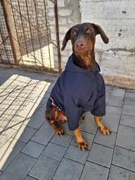 Куртка-дощовик для собак Noble Pet Moss Yellow M-Short (M4108/M-Short) фото от покупателей 3