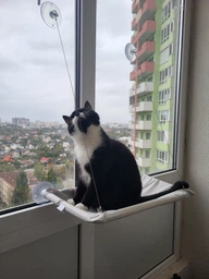 Лежанка для кота віконна VMHouse лежачок гамак для кішки спальне місце на присосках рожевий (0014-0004) фото від покупців 2
