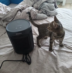 Тепловентилятор Philips 2000 CX2120/01 фото від покупців 1