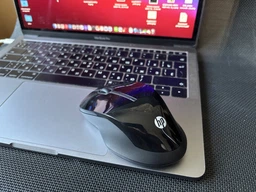 Мышь HP 250 Dual Wireless/Bluetooth Black (6V2J7AA) фото от покупателей 1
