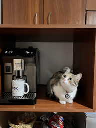 Кофемашина DELONGHI Eletta Explore ECAM450.86.T + в подарок кофе в зернах Mi Familia De Lux Blend Gusto Forte 1 кг