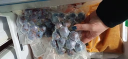 Вакуумний пакувальник для їжі Побутовий вакууматор Freshpack HQ-1/G-88 фото від покупців 4
