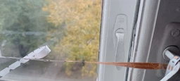 Світлодіодна фітострічка / фітолампа 3 м, для кімнатних рослин від USB Повний спектр від GrowLight фото від покупців 4