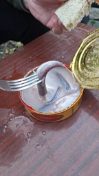Сюрстремминг Surstromming Röda Ulven 400г банка (ферментированная сельдь Surströmming сюрстреминг) (22199) фото от покупателей 15