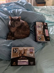 Влажный корм для кошек Purina Pro Plan Sterilised кусочки в соусе с говядиной 5 х 85 г, с курицей 5 х 85 г (Мультипак) фото от покупателей 7