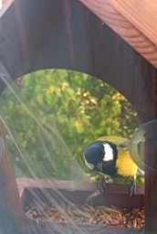 Кормушка для птиц на окно House_for_birds "Балкон" дерево