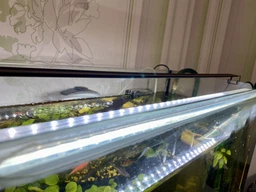 LED-світильник Collar AquaLighter Slim 75 см 5000-6500 K 2525 Лм 17.5 Вт (8791) фото від покупців 2
