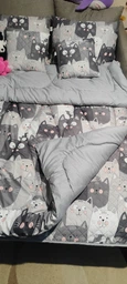 Подушка Руно Grey Cat антиаллергенное волокно 50х70 см (Р310.52СЛУ_Grey Cat) фото от покупателей 11