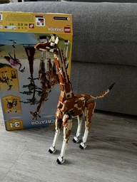 Конструктор LEGO Creator Дикі тварини сафарі 780 деталей (31150)