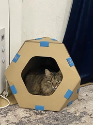 Модульный домик для кошек Collar TelePet 440х440х370 мм (9072Collar) фото от покупателей 8