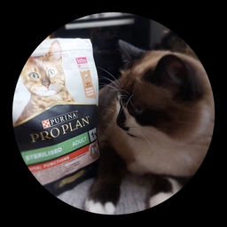 Сухой корм для стерилизованных кошек и котов Purina Pro Plan Sterilised Adult 1+ Vital Functions с лососем 3 кг фото от покупателей 12
