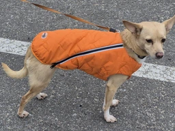 Жилет Pet Fashion E.Vest для собак фіолетовий SМ фото від покупців 2