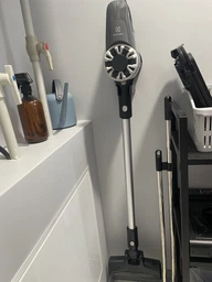 Пилосос Electrolux EP31CB21GP