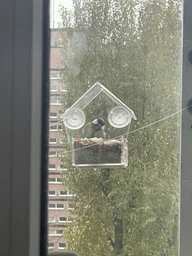 Кормушка для птиц на окно House_for_birds "Теремок" фото от покупателей 10
