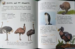 Енциклопедія дошкільника : Птахи Каспарова Ю.В. 9786170969149 Ранок фото від покупців 1