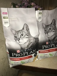 Сухой корм Purina Pro Plan Sterilised с кроликом для стерилизованных кошек и кастрированных котов 1,5 кг фото от покупателей 8