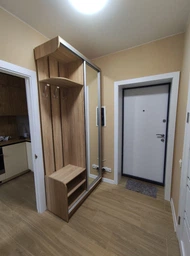 Прихожая Matro (Luxe Studio) №3 Зеркало 1100x2400 мм Дуб сонома (13957399)