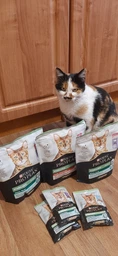 Сухой корм для стерилизованных кошек и котов Purina Pro Plan Sterilised Adult 1+ Vital Functions с лососем 3 кг фото от покупателей 10