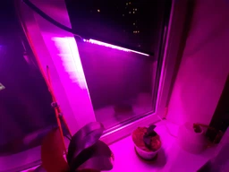 Светодиодная настольная фитолампа 2 LED светильника на управлении со сменой цвета и таймером