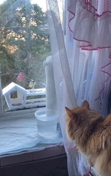 Кормушка для птиц на окно House_for_birds "Домик белый" фото от покупателей 16