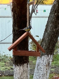 Кормушка для птиц подвесная House_for_birds "Радуга" дерево фото от покупателей 9
