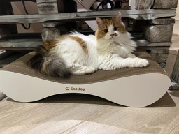 Кігтеточка з картону посиленого з дерев'яним фасадом Cat Joy Bionica Beige Wood 63х14х29 см фото від покупців 5