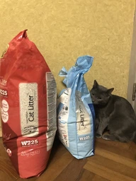 Наполнитель для кошачьего туалета Van Cat Premium Cat Litter Бентонитовый комкующий 20 кг (24 л) (8699245858518) (8699245858594) фото от покупателей 1
