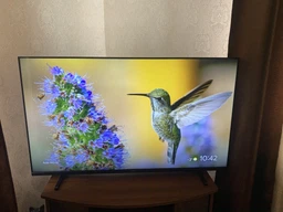 Телевізор Philips 55PUS7409/12 55"/LCD 4K UHD/60 Гц/Smart TV/VRR/eARC/ALLM/300 кд/м²/20 Вт (2.0) фото від покупців 6
