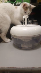 Питьевой фонтан для кошек и собак Pawoof X1 1.5L с фильтром (Зеленый)