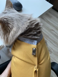 Попона комбинезон после стерилизации операции для кошек и котов Style Pets M фото от покупателей 19