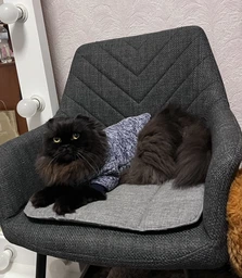 Джемпер для котів (кішок) Classic XL Блакитний