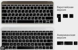 Ноутбук Apple MacBook Pro 16" M4 Pro 24/512GB 2024 (MX2X3UA/A) Space Black