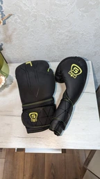 Боксерские перчатки FGT 10 унций FT-2320