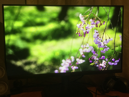 Монитор 24.5" Acer EK251YEBI (UM.KE1EE.E01) фото от покупателей 1