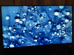 Монитор 24.5" Acer EK251YEBI (UM.KE1EE.E01)