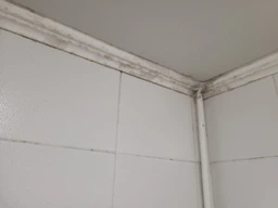 Средство Glutoclean от плесени с хлором 0.5 л (4044899387916) фото от покупателей 6