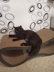 Когтеточка из картона усиленного с деревянным фасадом Cat Joy Fusion Beige 77x29x29 см