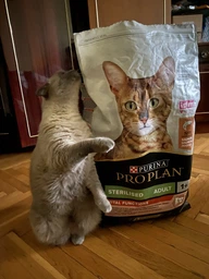 Сухой корм для стерилизованных кошек и котов Purina Pro Plan Sterilised Adult 1+ Vital Functions с лососем 3 кг фото от покупателей 5